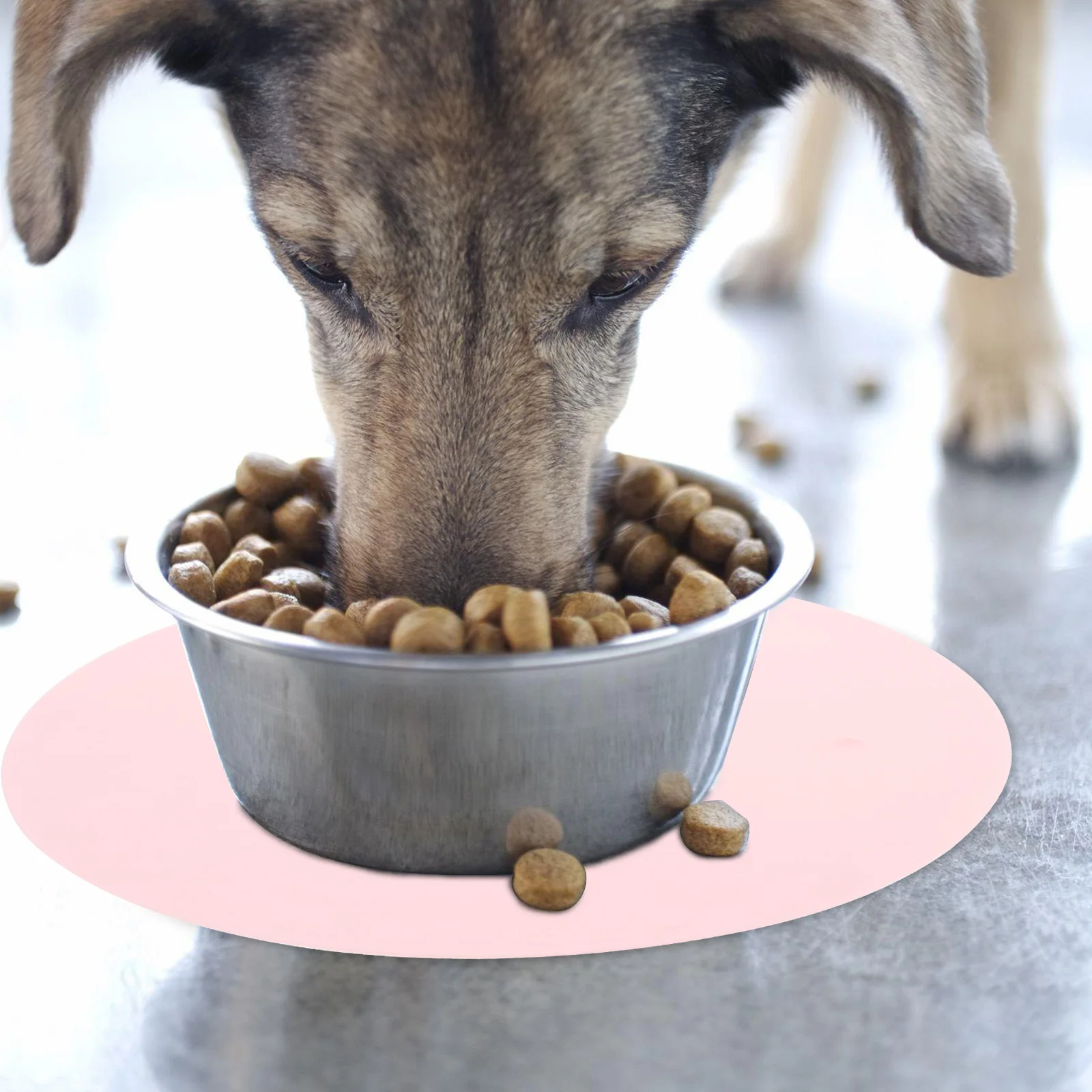 

Pet Leakproof Mat Food Placemat Water Cushion Round for Dog Bowls Small Pink Feeding