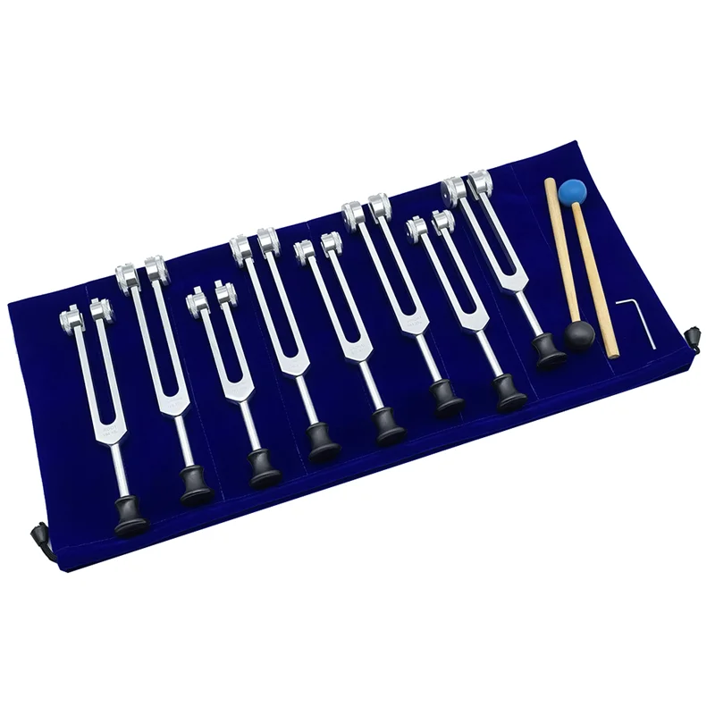 Set diapason A22I per guarigione, terapia del suono (126,22 Hz,136,1 Hz,141,27 Hz,172,06 Hz,194,18 Hz,210,42 Hz,221,23 Hz) Argento
