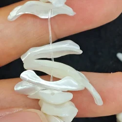 5 Strands Natural White Shell Irregular Slice Shape Loose Beads DIY Jewelry Making Supplies