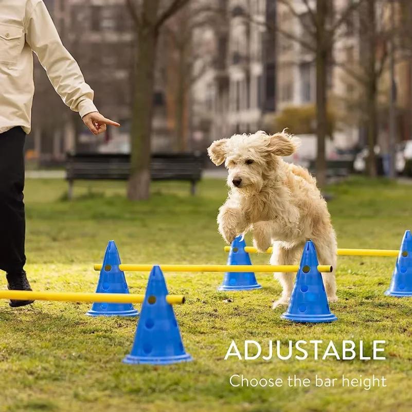Honden Agility Trainingsset Sp - Agility Hurdle Set recensie en prijs