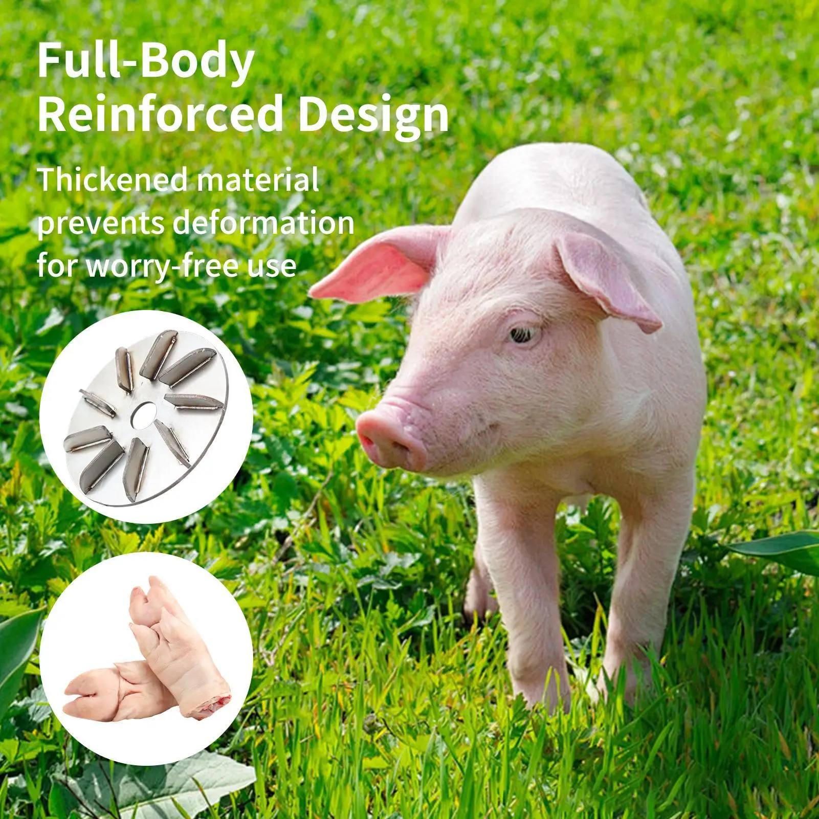 Hair Remover Tool for Chicken Stainless Scraper Livestock Hair Remover for Cow Horse Rooster Workshop Hen Cattle Butcher