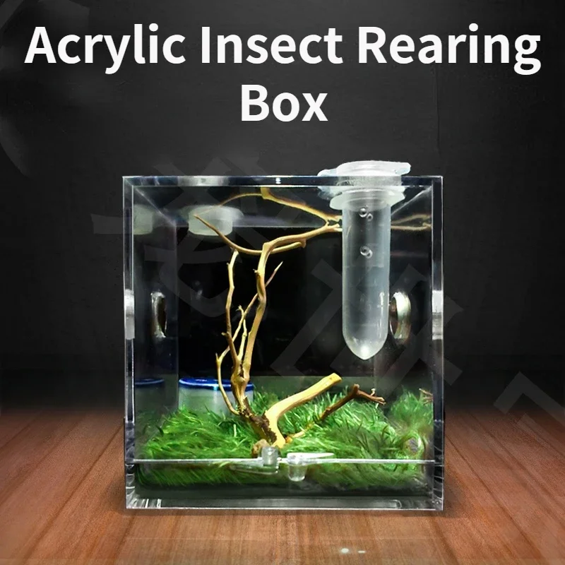 SmallReptilesBreeding Box Clear Acrylic Cage Habitat Insect Feeding Box Terrarium Tank Escape Proof for Jumping Spider ant nest