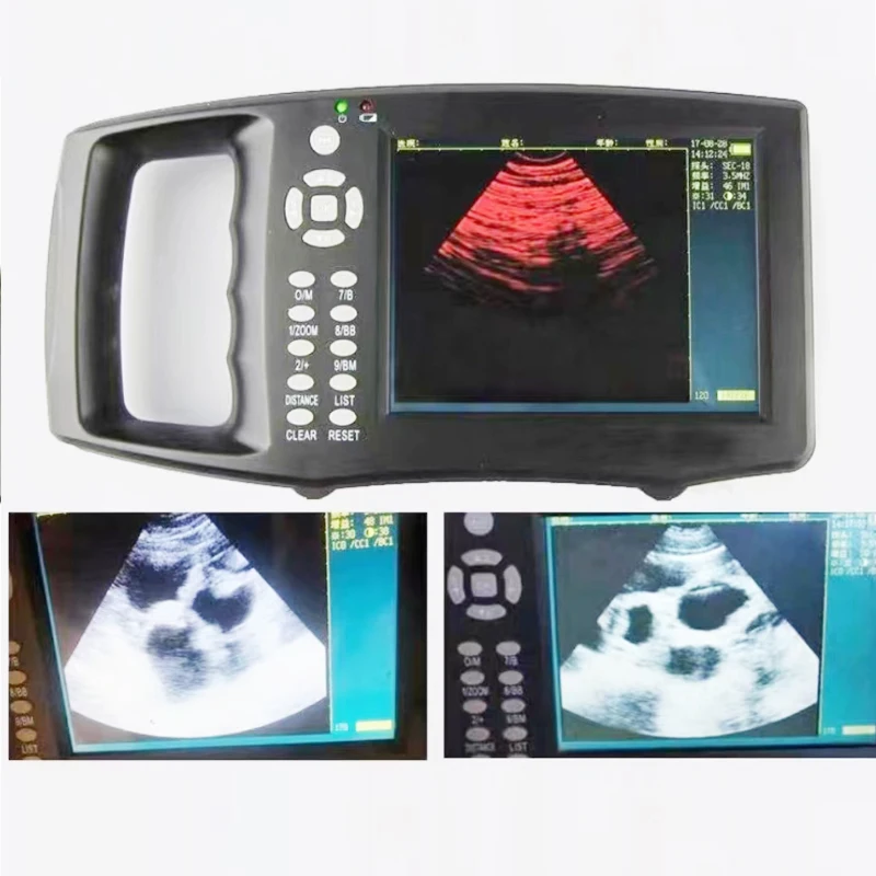 Schermo LCD da 5.6 pollici Scanner ad ultrasuoni veterinario portatile bovini mucca maiale pecora cavallo fattoria ultrasuoni macchina per test di