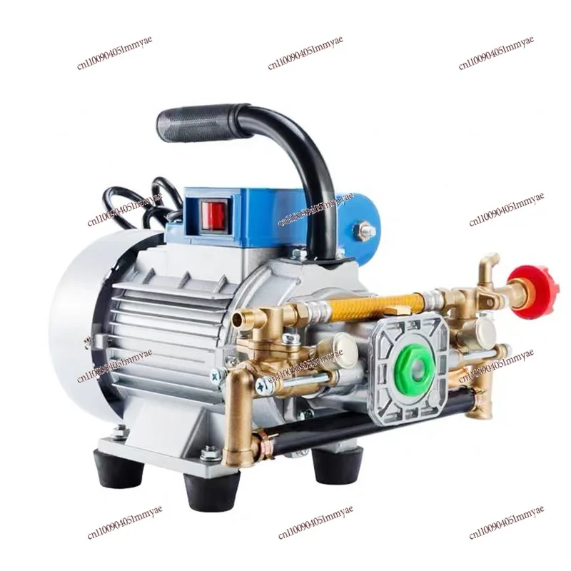 

Electric Garden Sprayer Plunger Pump High Pressure Machine for Household Small Farm Fruit Tree Pesticide Application