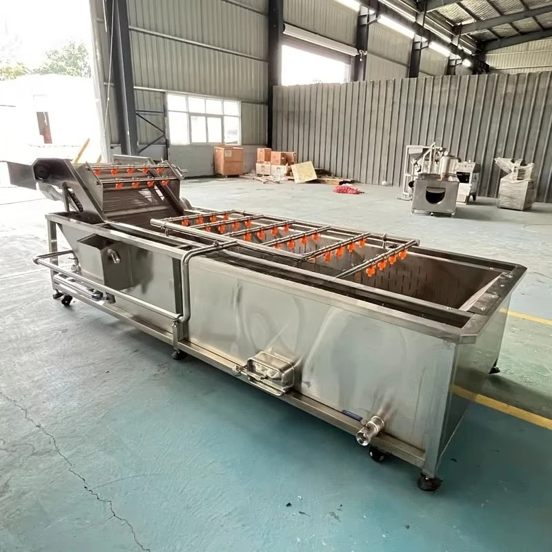 Garlic Bolt Clove Washer Cleaning Washing Machine Fruit and Vegetable Processing Equipment with Core Motor Component