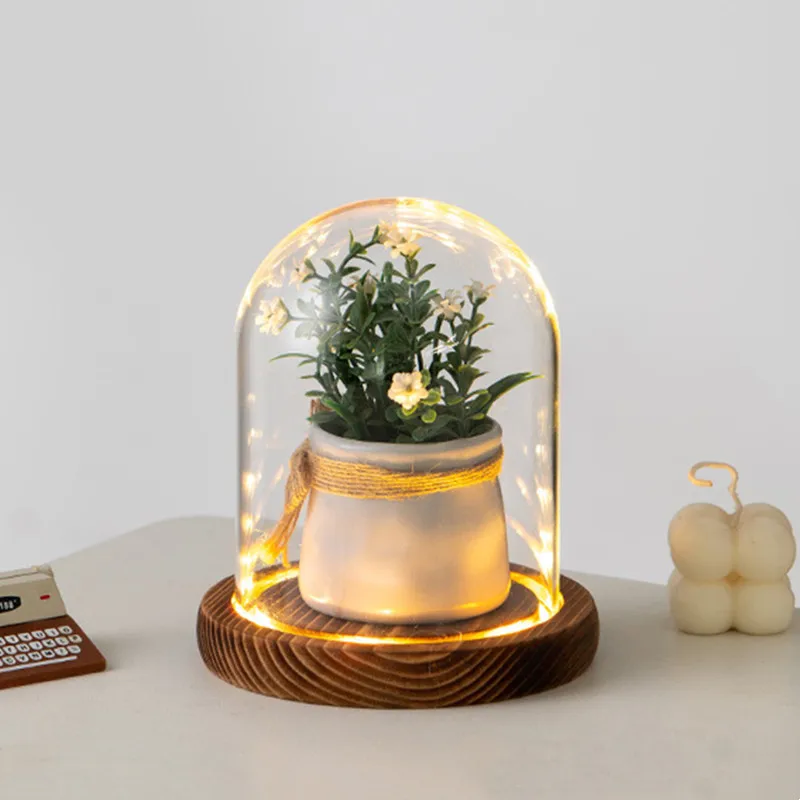 FS 10*20cm 10*25cm 12*12cm 12*15cm 12*18cm 12*20cm Middle Size Glass Dome Vase Home Decoration Luminous Coil Antique Base Gift