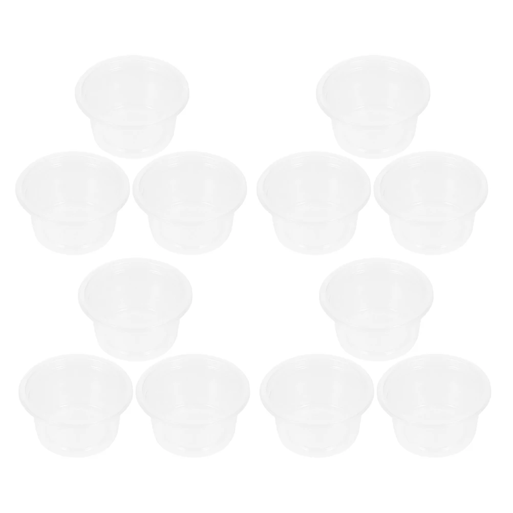 

30 Pcs Reptile Food and Water Box Feeder Cups 100 Ct Pet Plastic Leopard Print Gecko Transparent Dish