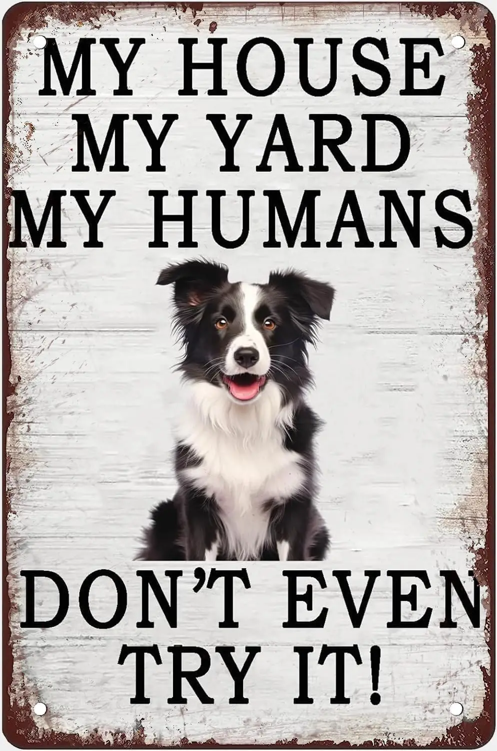 Funny Dog Tin Signs My House Yard Humans Don;t Even Try It Retro Poster Plaque Border collie Decorations for Garde