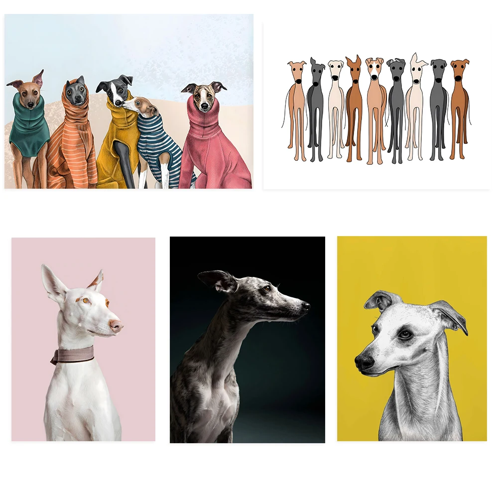 Bodenko, Whippet portrait, cute greyhound art, colorful whippet print, sighthound poster, home decor