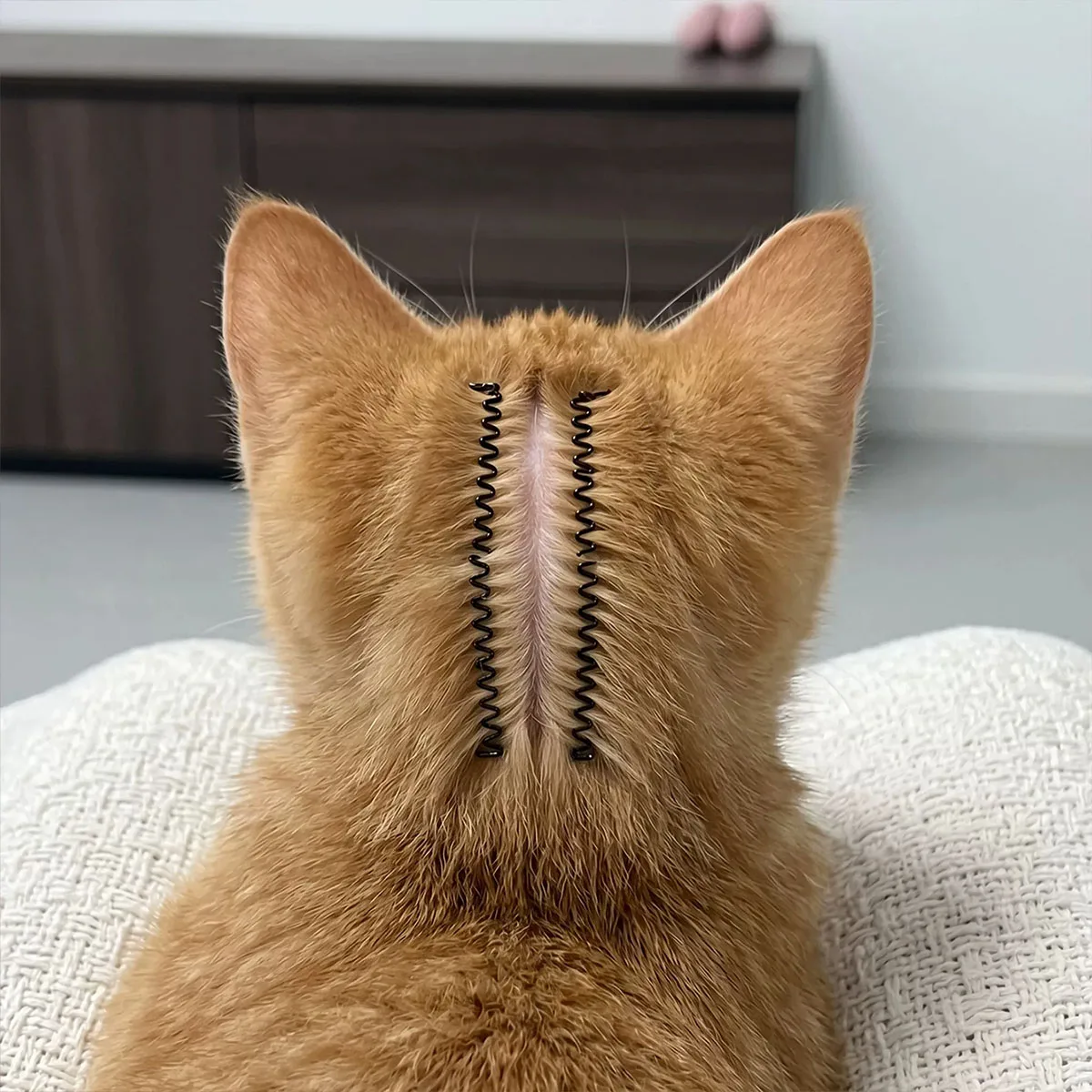 2-Pack Pet Hair Separation Clips, Suitable for Cats and Dogs, Flea Treatment Applicator Tool, Convenient Hair Separation Clip for Localized Medication Application, Pet Grooming Accessories