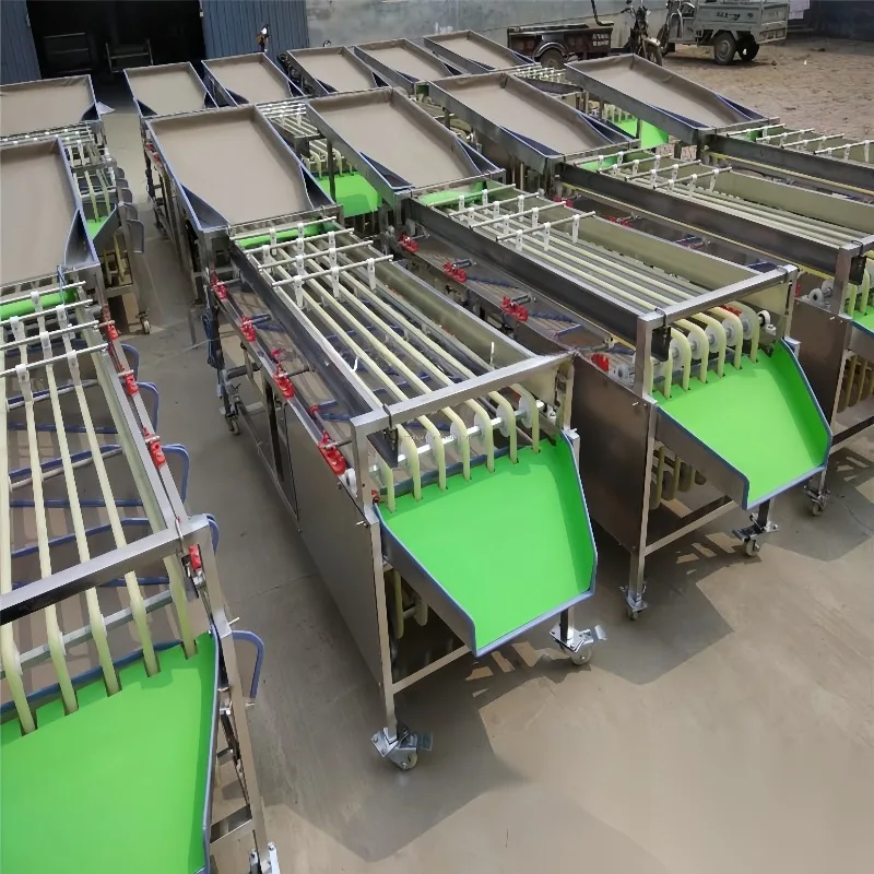 Electronic Avocado Potato Carrot Pineapple Fruit Vegetable Size Sorting and Grading Machine Equipment