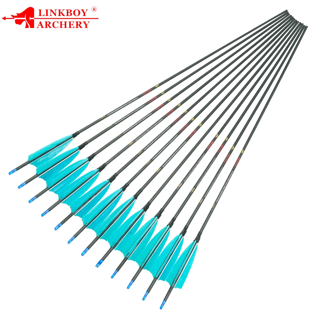 Imagem -04 - Pure Carbon Recurve Arrows Spine Turkey Feather Pontas 80gr Arco Recurve Acessórios 100 6001800 Spine 32in 4in 12 Unid 42 mm