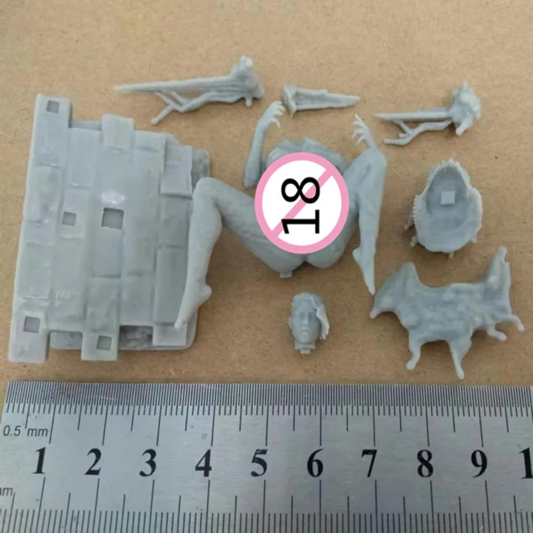 

1/24 Scale 75mm Resin Figure Variation Girl Full Nsfw Assemble Model Kit Unassembled and Unpainted 3D Statue toy