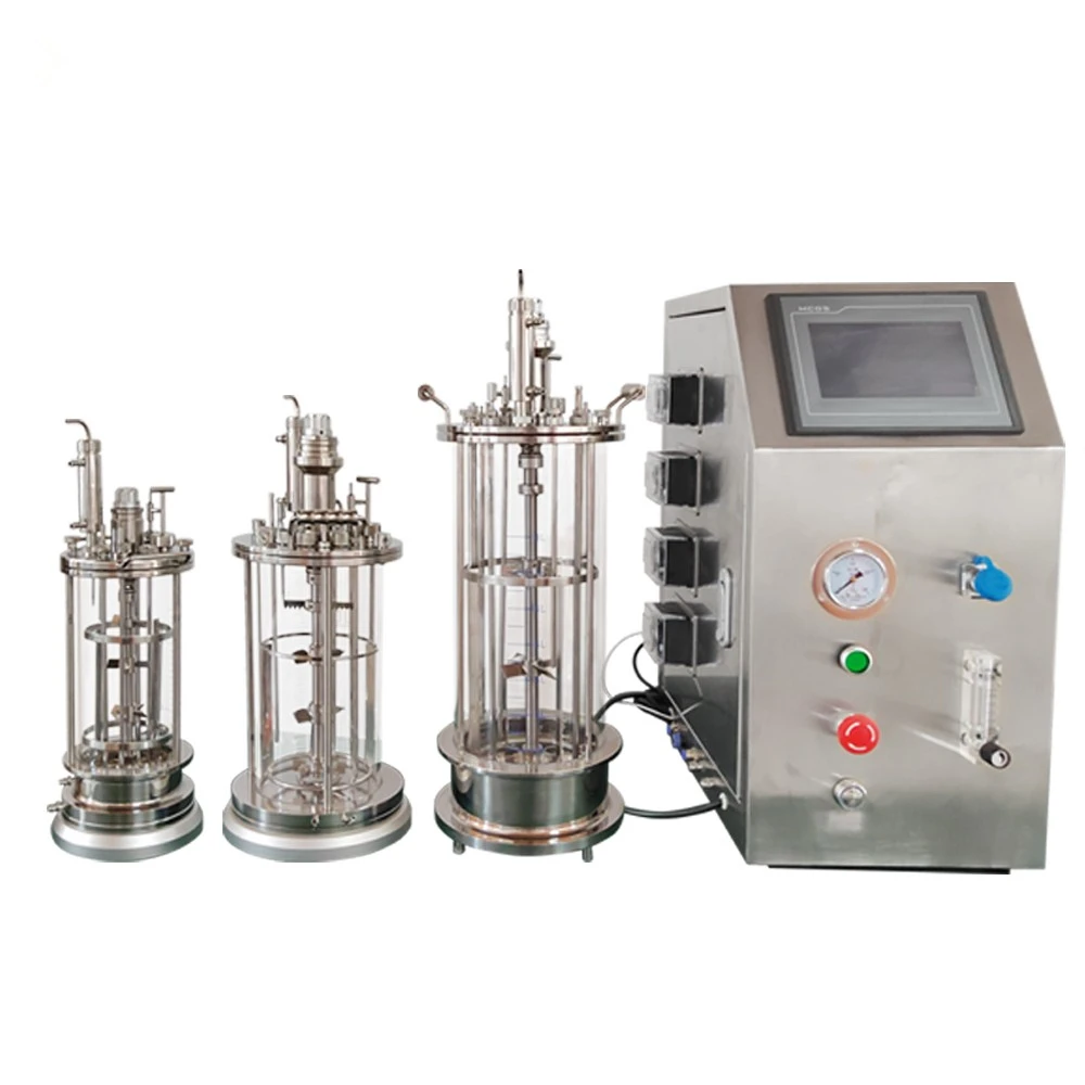 Lanphan Laboratorio Fermentatore di vetro da banco Bioreattore Microbico Bioreattore 5L 10L 15L con controllo della temperatura e del PH