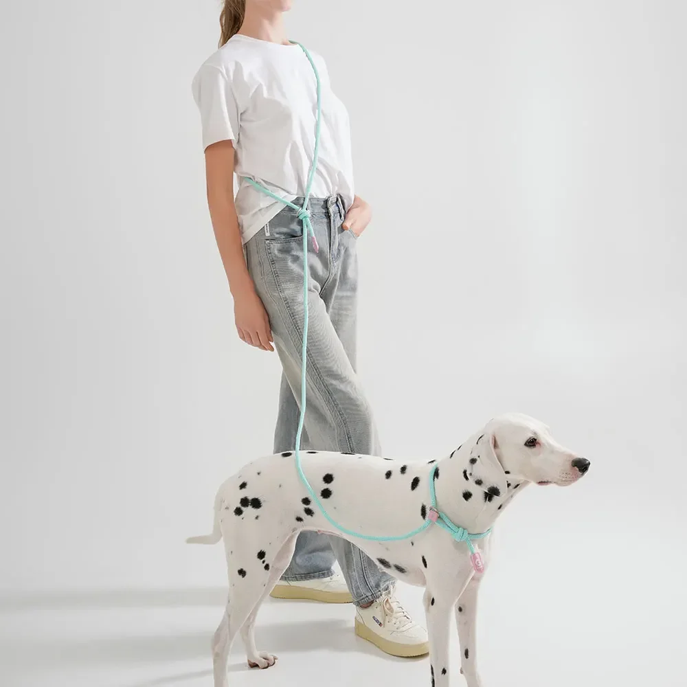 

For Large and medium small Dogs leashes Pet Nylon Walking dog Traction rope Adjustable Macaron color Explosion proof Slip Rope