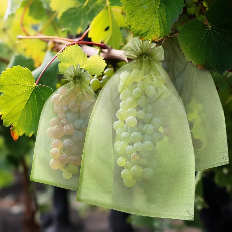 200/10PCS Green Fruit Vegetable Drawstring Bags Grape Protection Bags Netting Grow Bag Insect-proof Anti-Bird Mesh Pouches Cover