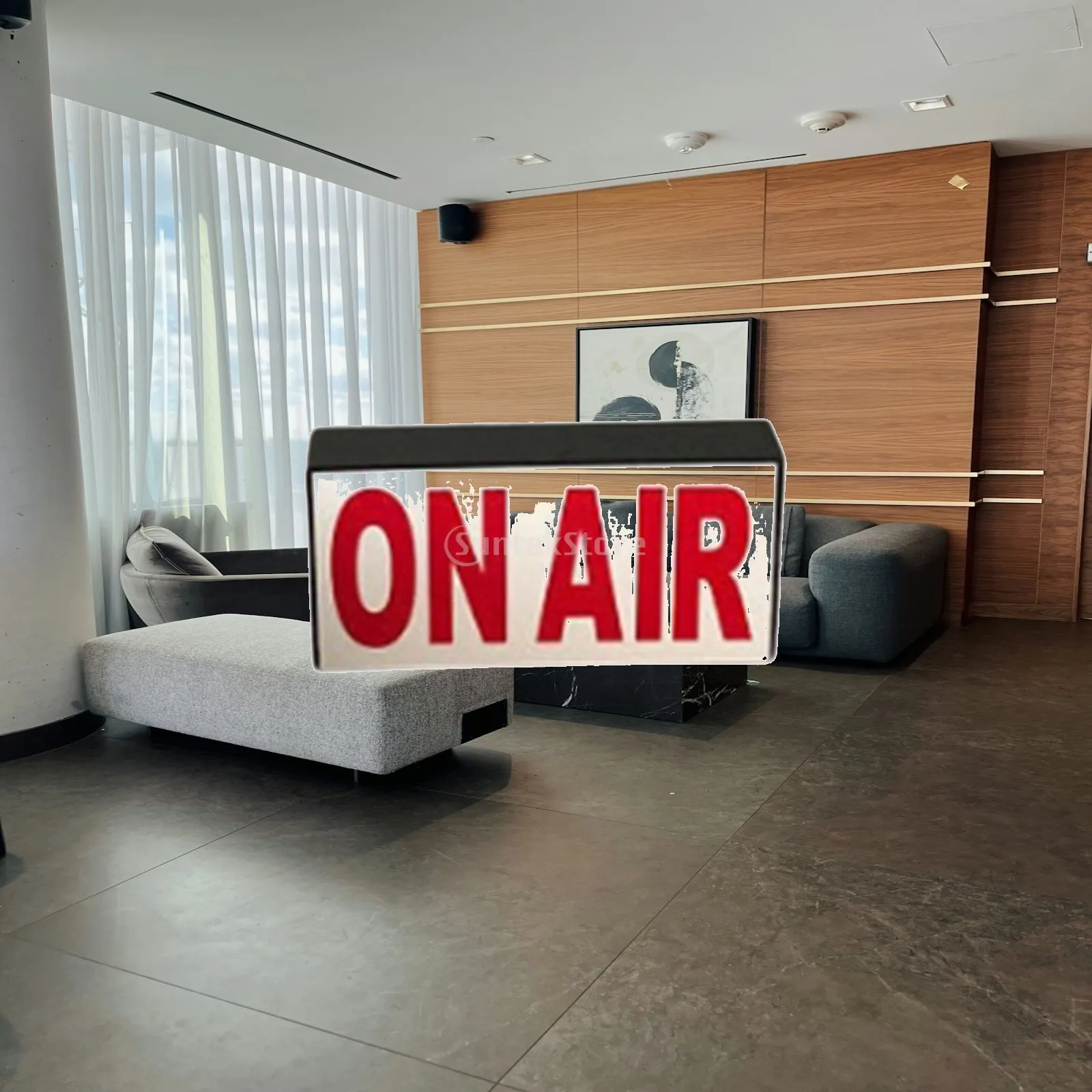 on Air Neon Wall Sign with Adjustable Dimmable LED Light Wireless Remote Control for Recording Studio Room