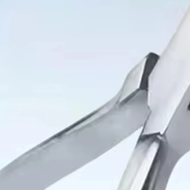 

Dental Dam Hole Punch Pliers Professional Orthodontic Perforator, Stainless Steel Rubber Dam Punch Tool for Dentist Clinic