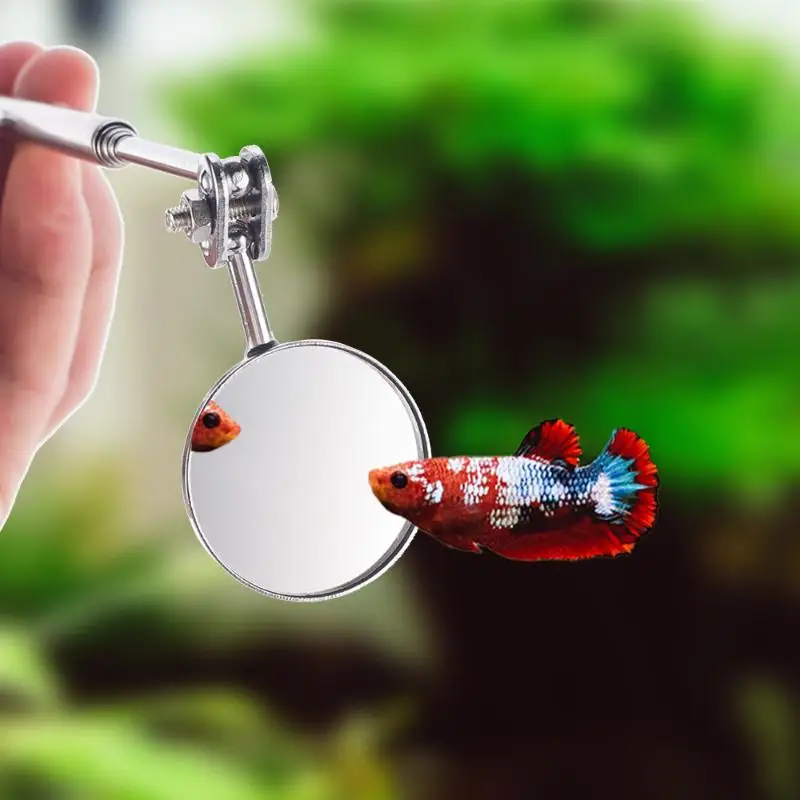 Aquarium Betta Mirror Fish Tank Round Square Mirror Scalable Stainless Steel For Fish Betta Flowerhorn Cichlid Training 3cm 5cm