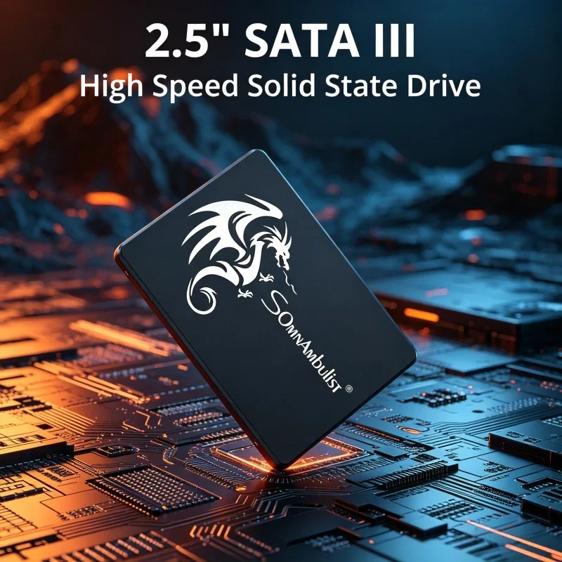 

120GB 240GB 480GB 960GB 128GB 256GB 512GB 1TB 2TB SSD SomnAmbulist 2.5 Internal Sata3 Solid State Drive for PC Laptop