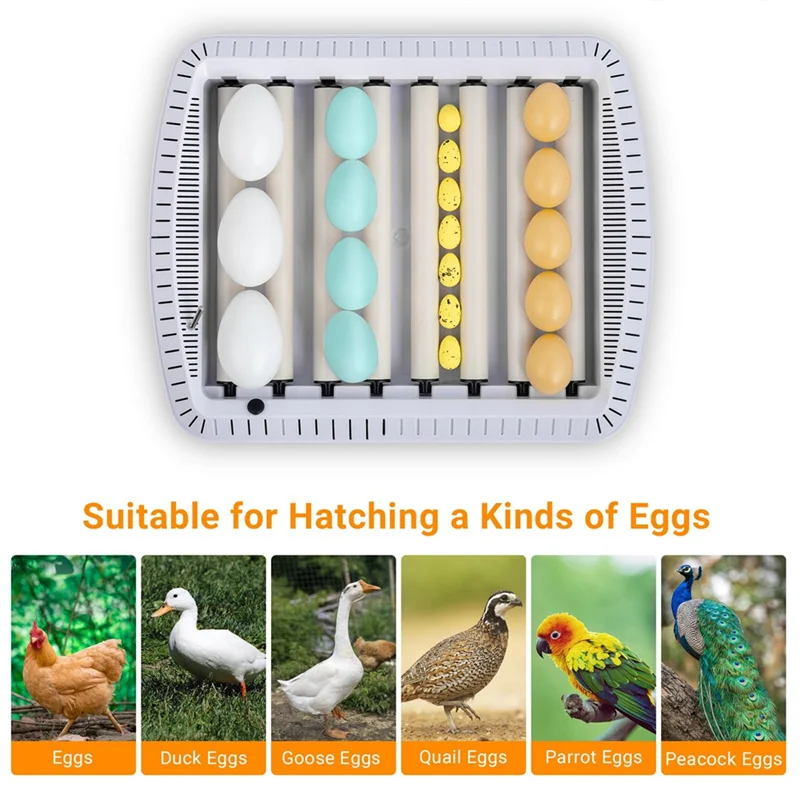 

35 Chicken Incubator For Hatching Eggs Egg Incubators Water Level Automatic Egg Turning Temperature Humidity EU Plugm12k