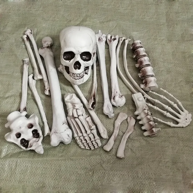 

Human Skeleton Simulation Halloween Party Plastic Decoration Skull Secret Room Anatomical Haunted House Bar Props Bulk Bone