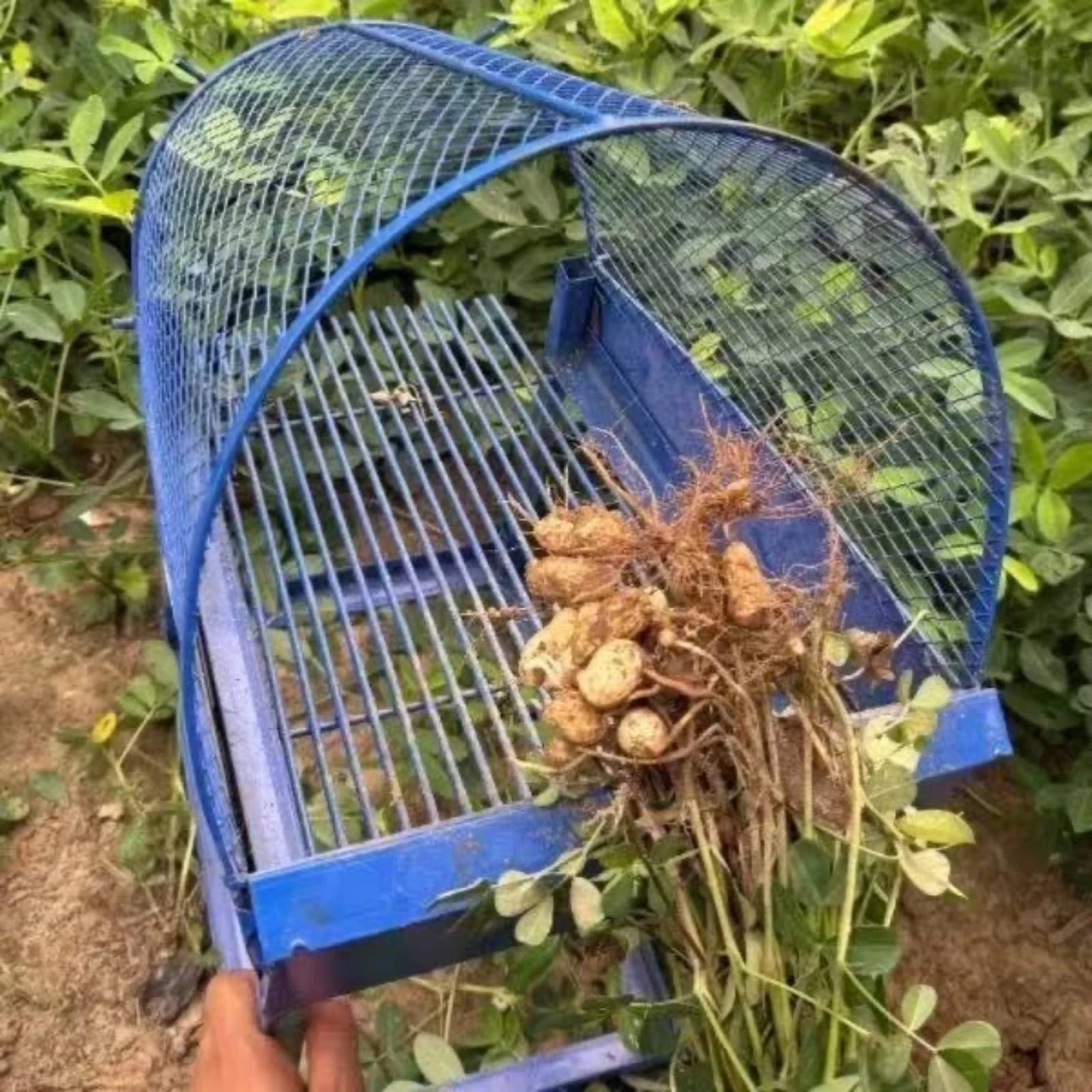 Descascador de Amendoim Pesado, Máquina de Descascar Amendoim Portátil e Confiável para Agricultores, Colheita, Fazenda