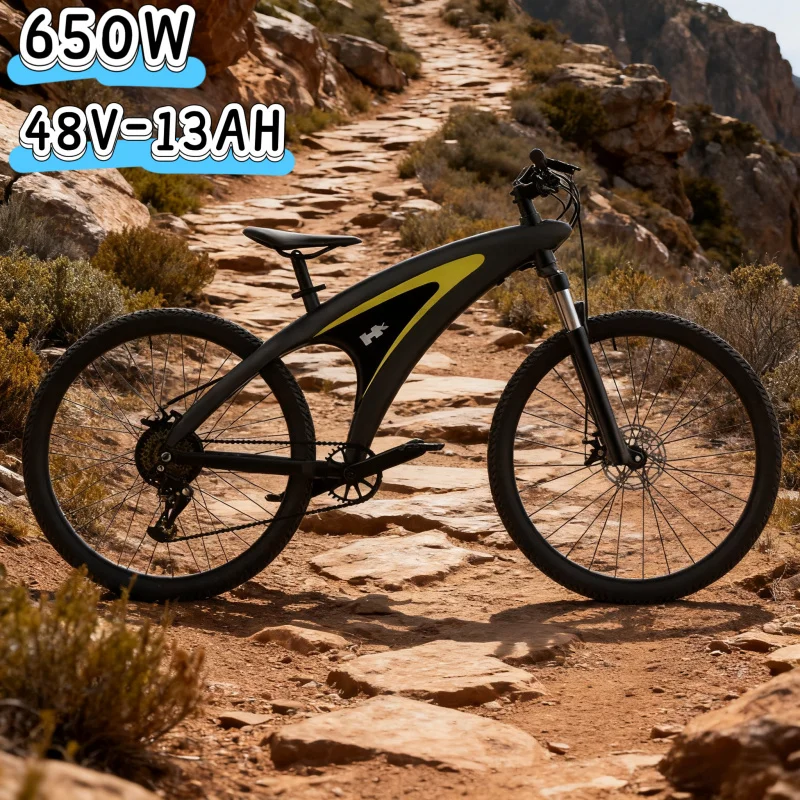 

Fashionable E-bike made of aluminum alloy 650W48V13A performance electric bicycle the first choice for urban life transportation