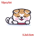 ZN00231
