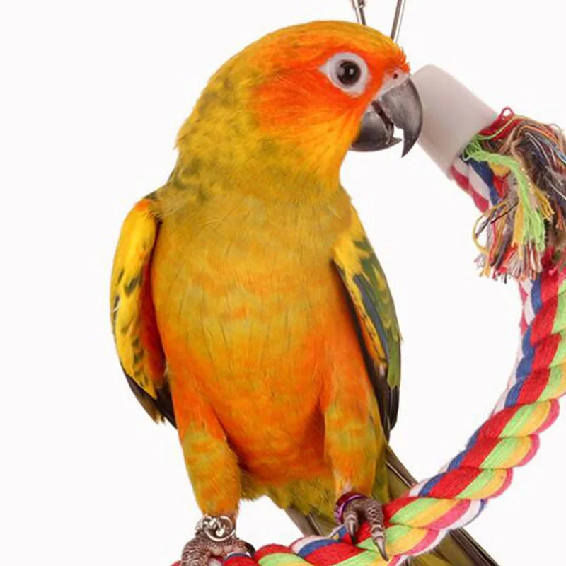 Juguetes para morder pájaros y mascotas, cuerda de algodón de Color loro, cuerda elástica para escalar loros, juguete para morder, suministros para mascotas, accesorios