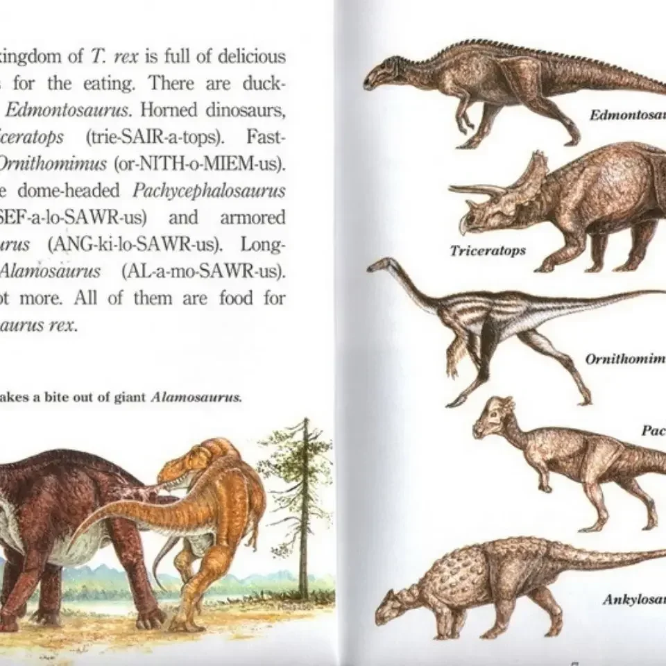 11 Books/set Step Into Reading Level 5 Ready for Chapters In English Kids Reading Comprehension Picture Story Books for Chidlren