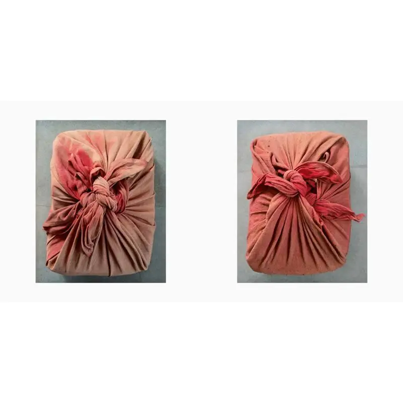 جائزة Dayanita Singh Sea of Files Hasselblad 2022 كتاب Stefan Jensen Steidl 9783969991541 #3