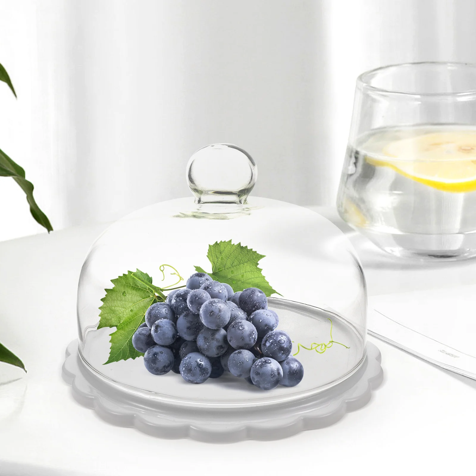 

Cake Holder with Lid Plate Dome Display Stand Cover Dessert Stands White Tray Ceramic