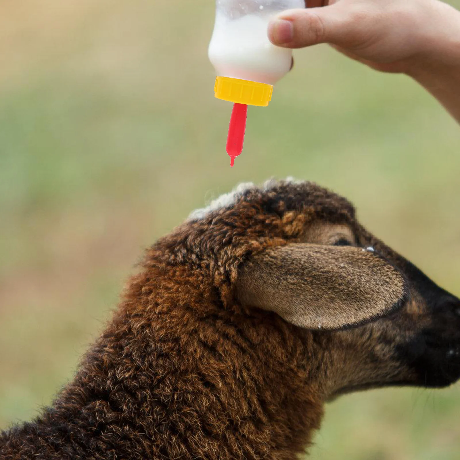 

25Pcs Lamb Milk Bottle Pacifiers Durable Animal Feeding Nipples Thickened Strong Calf Nursing Milk Supply Calf Nursing Nipples