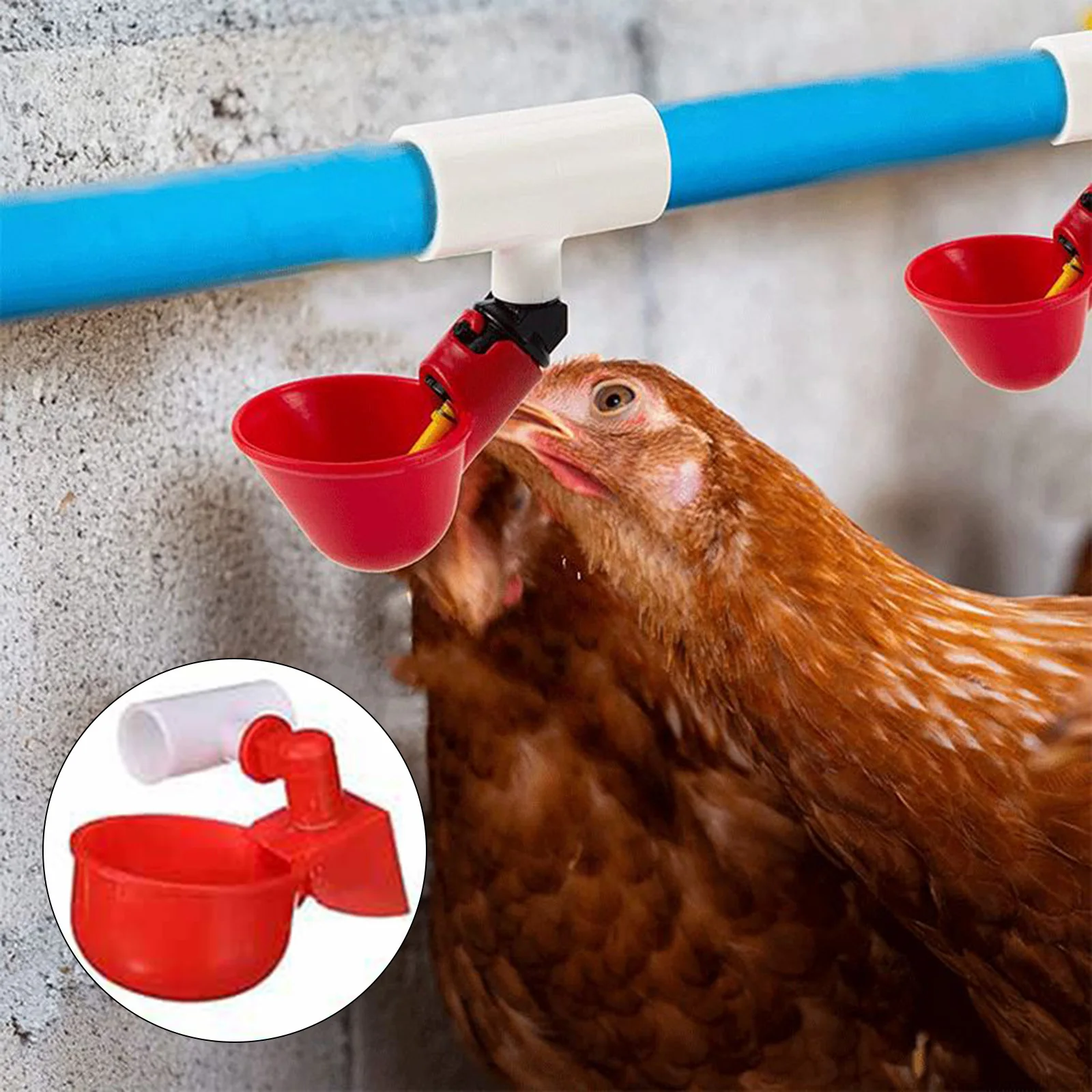 Automatic Poultry Waterer PVC Tee Fittings 20 Pack for Efficient Water Distribution to Chickens and Other Livestock