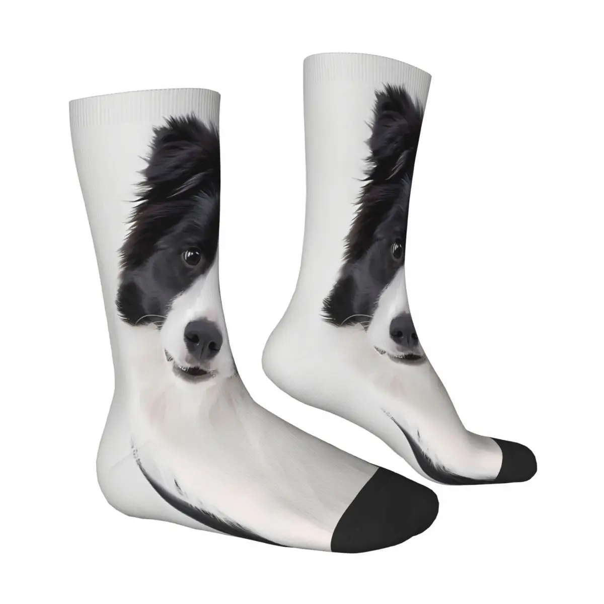 Border Collie Colorful Socks Male Mens Women Autumn Stockings Hip Hop