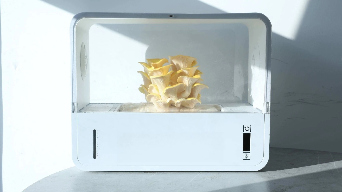 HydroBlue Desktop Mushroom Farm Hydroponic Planting Grow Kit Automatic Home Grow System Indoor Cultivation Grower Box Motor