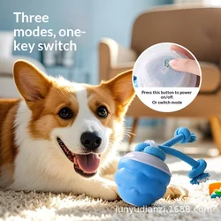 Pelota inteligente recargable para perros: movimiento y antiestrés