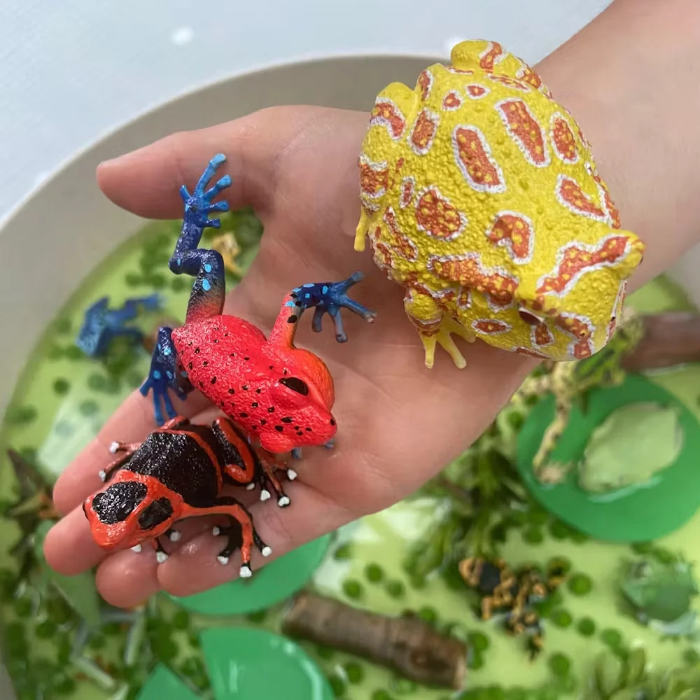 Toymany Simulation Erdbeere Frosch Reptil Reich Tier Modell Spielzeug Mini Figuren Puppen Action Figuren Spielzeug Kinder – Detail 9