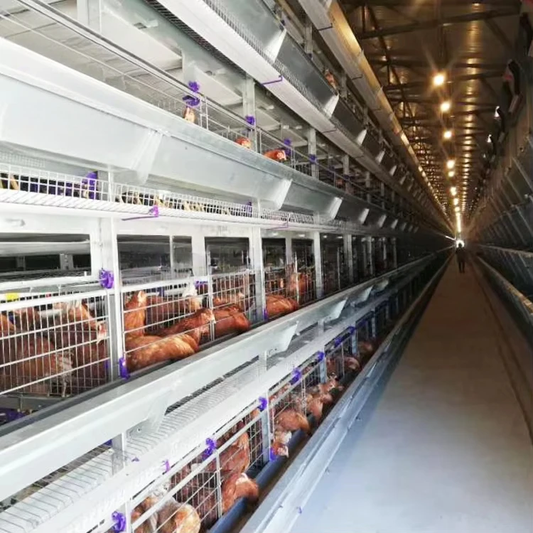Chicken cage egg layer H high-quality H-shaped layer chicken cage with cleaner eggs egg laying four-layer cage price