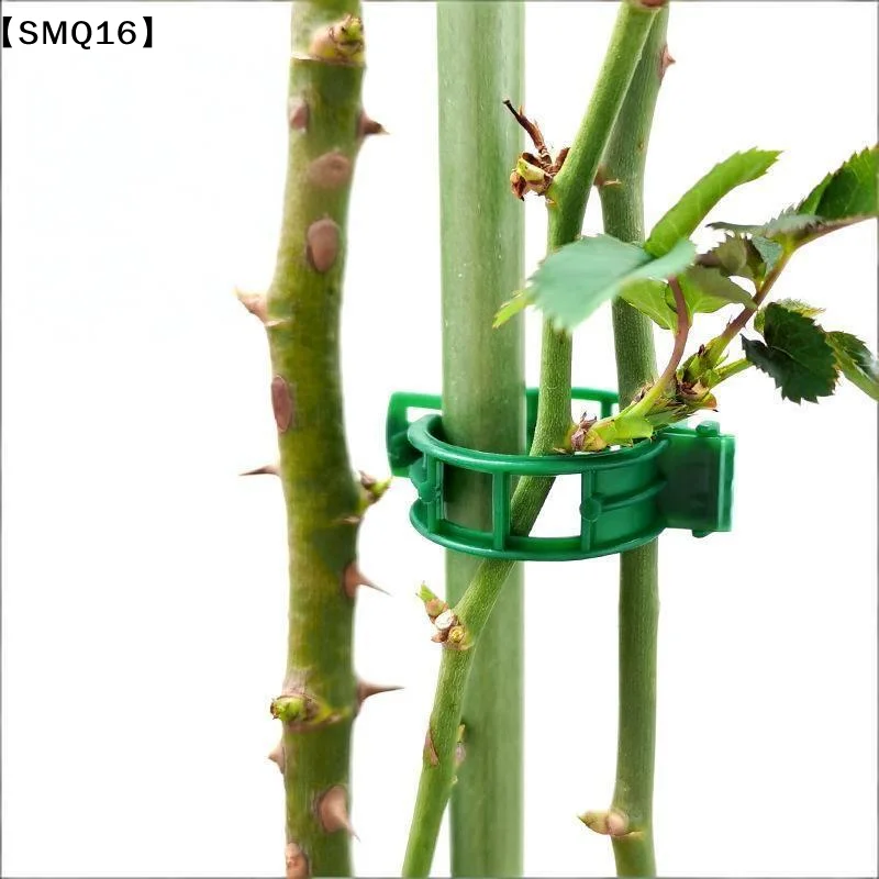 Plastic Plant Support Clips,Plastic Clips For Securing Plants,Tomato Vine Clips,Plant Fixing Clips,Garden Clips Climbing【SMQ】