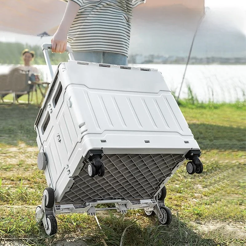 portable-hand-pulled-shopping-cart-vegetable-buying-camping-small-carriage-adjustable-handle-plastic-material-for-home-storage