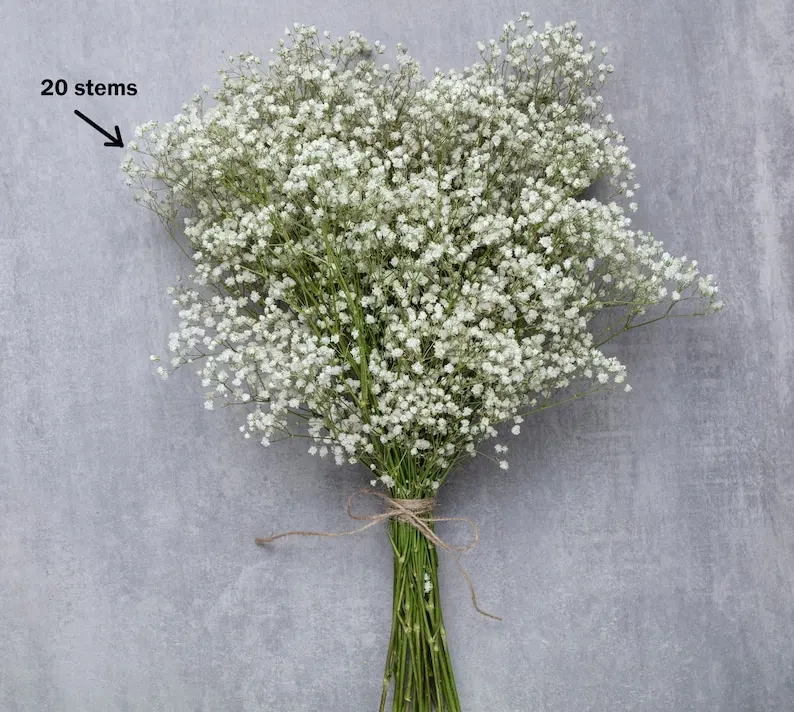 자연 말린 Gypsophile 꽃 웨딩 장식 배열 진짜 아기 호흡 보존 꽃 꽃다발 Hoom 크리스마스 장식