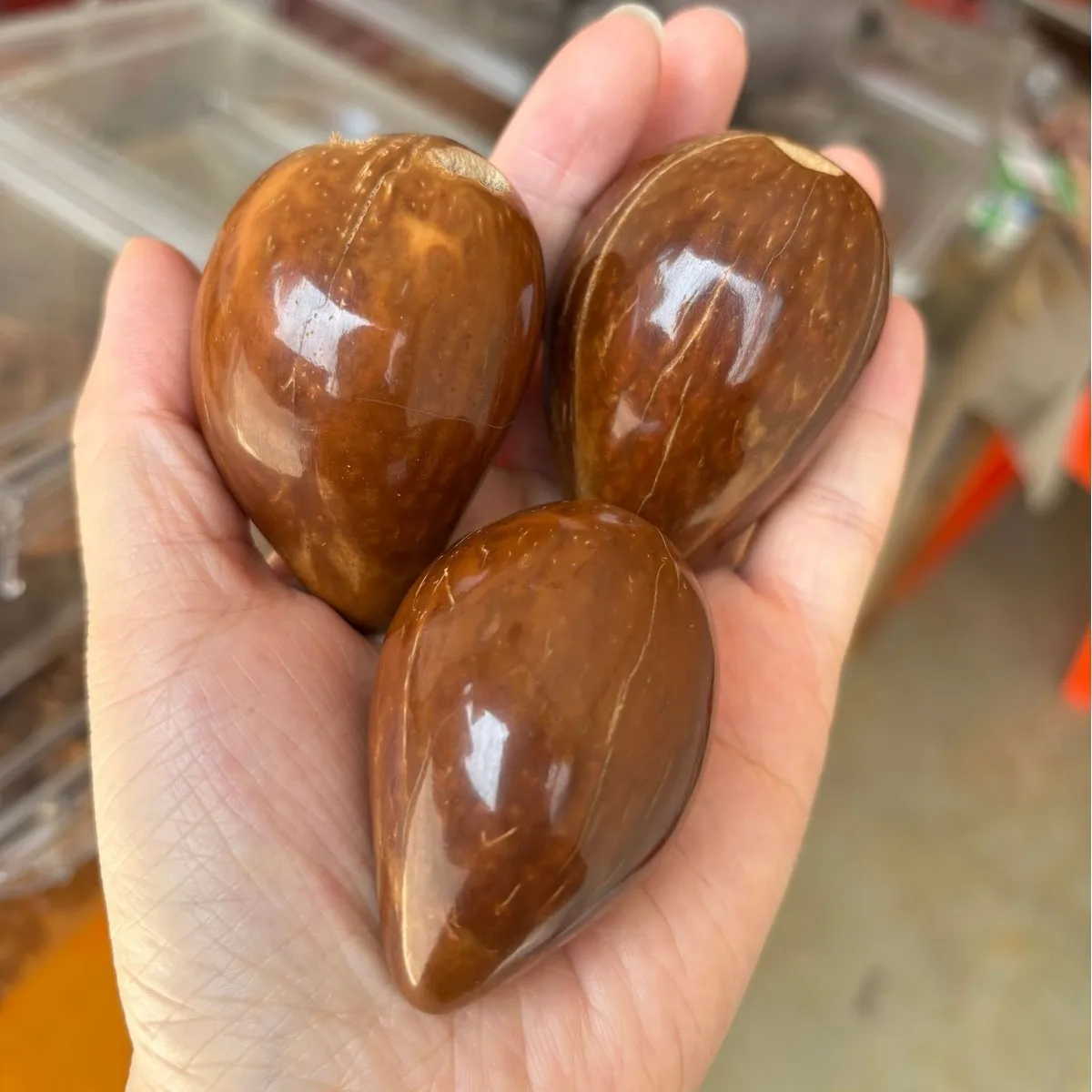 Kuka Nut Raw Skin Polished Handheld Ornament Wenwan Collection Natural Palm Fruit Craft Exquisite Vintage Hand Play High Density