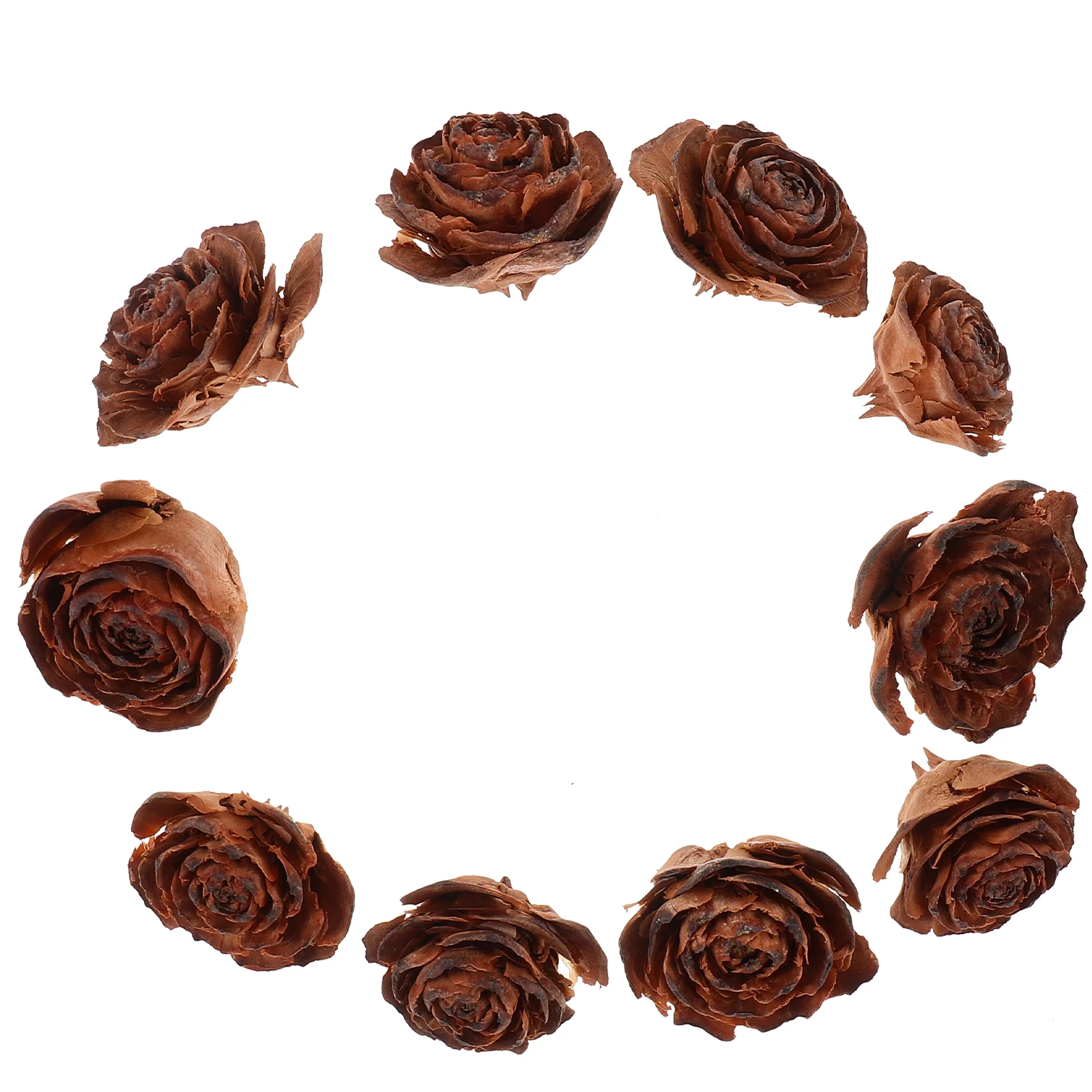 10 قطعة مادة الزهور الجافة عينة الزهور المجففة الطبيعية لوازم الحرف اليدوية لتزيين جراب الهاتف الراتنج