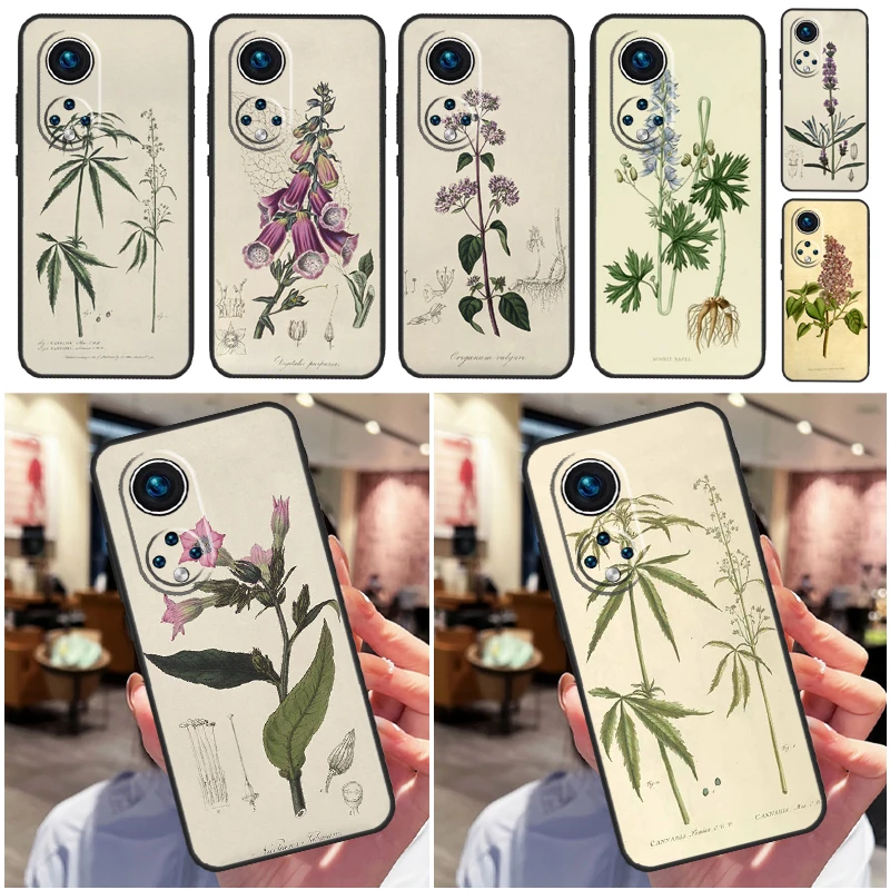 Botanical Drawings … - image