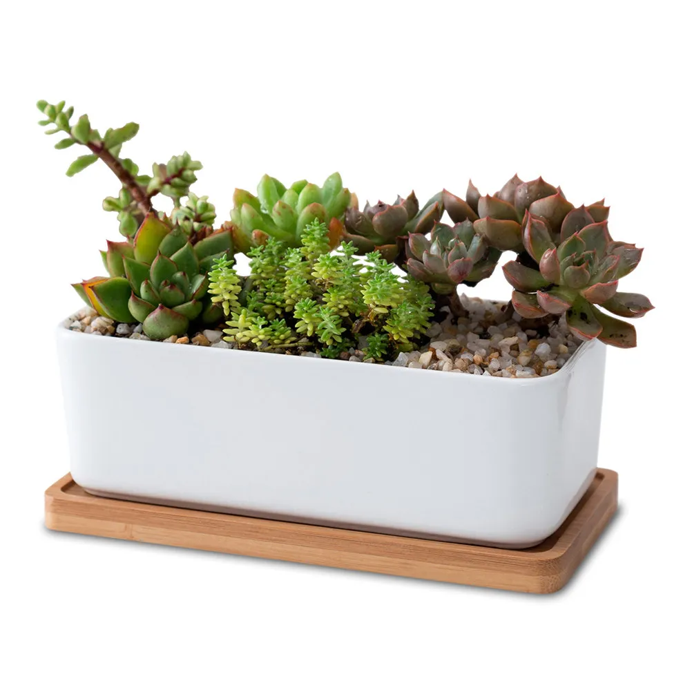 1Set Ceramic and Bamboo Flowerpot Set Oblong Design with Tray for Indoor Plants Succulent Planter Garden Bonsai Pot Home Balcony