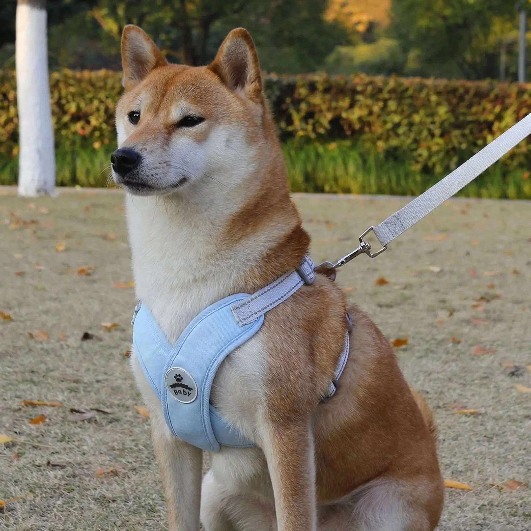 Hundegeschirr und Leine Set für Kleine und Mittelgroße Hunde Outdoor-Spaziergänge Verstellbares Reflektierendes X-förmiges Geschirr Welpen-Haustierzubehör – Detail 18