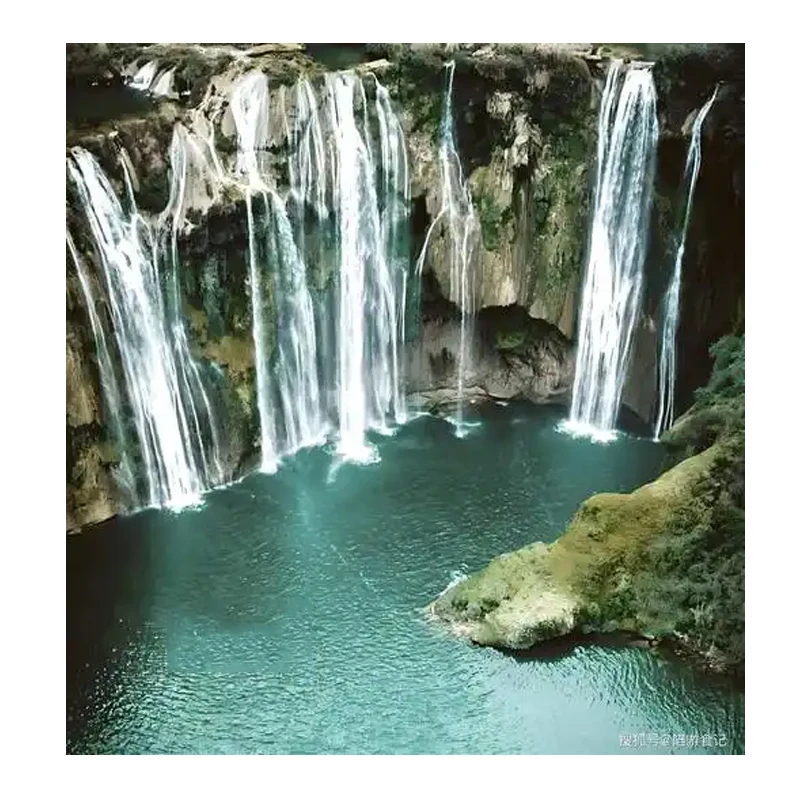 Magnetic Smartphone Handle Grip with Detachable Bluetooth Remote with Fill Light Anti-shake Selfie Handle Photo Bracket