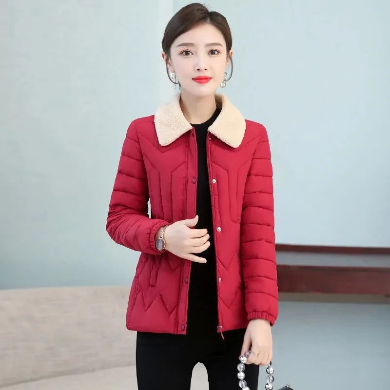 Winter Cotton-Padded Women's New Mother Joker Thin Solid Color Down Cotton-Padded Jacket Slim Slim Fashion Cotton-Padded Jacket